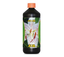 ATA XL Atami