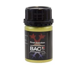 Final Solution BAC