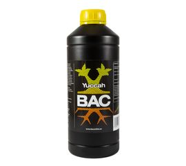 Yuccah BAC