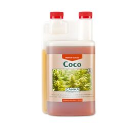Coco A Canna