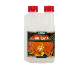 PK 13/14 Canna