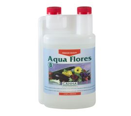 Aqua Flores B Canna